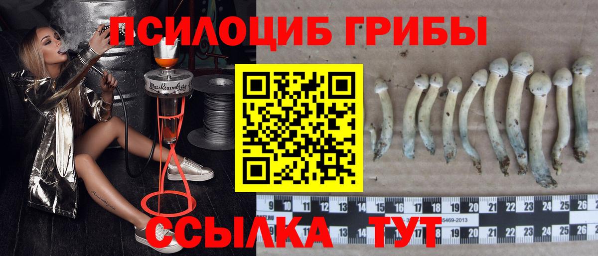 Галлюциногенные грибы мухоморы Лесосибирск